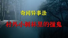 【灵异事件】乡间小树林里的恐怖的遭遇  |  鬼故事 | 灵异诡谈 |  恐怖故事 | 解压故事 |