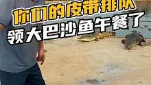 你们的皮带排队领大巴沙鱼了#鳄珍 