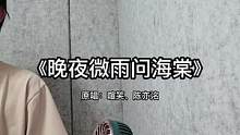 #少年感 #翻唱歌曲 #晚夜微雨问海棠 