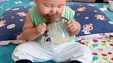 一晃拉扯这么大了，今天八个月了，已经自己会喝奶啦#自主进食的宝宝 #神兽成长记