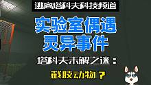 《逃离塔科夫》实验室偶遇灵异事件！塔科夫未解之谜：截肢动物？