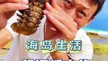 迟来的赶海，收获倒奇怪的龙虾（枇杷虾）！
