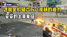 价值六万八皮肤的威力！全服独一无二，土豪的象征！