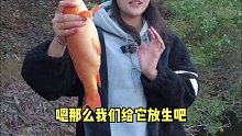 好漂亮的一条鱼，肚子大大的，直接放生，祝大家身体健康