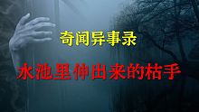 【灵异事件】水池里伸出来的枯手  |  鬼故事 | 灵异诡谈 |  恐怖故事 | 解压故事 | 睡前