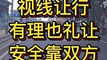视线让行：有理也礼让，安全靠双方！#大成驾道教练联盟 #智驾驶手册 #专业的事交给专业的人 