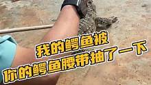 我的鳄鱼被你的鳄鱼腰带抽了一下#鳄珍 