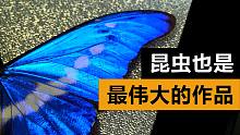 昆虫也是最伟大的作品