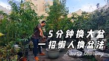 5分钟换一个大盆，教你一招懒人换盆法，简单操作，不缓苗直接长