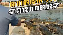 你们的皮带今天学习1到10的数字#鳄珍 