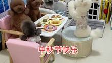 #我家毛孩子 #是宠物更是家人 #中秋节快乐 嘿嘿，貔貅今天吃月饼没挨揍五宝祝家人们中秋节快乐，团团