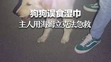 狗狗误食湿巾 主人用海姆立克法急救失败：“最后还是拉出来的”