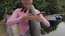 【娜小娜】06水库的鱼真的喜欢吃本地的水果哦