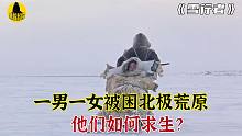 飞机坠毁在北极荒原，男飞行员依靠一个女人才能活下去，雪行者