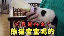 熊猫宝宝喝的究竟是什么？