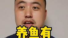 养鱼有鄙视链吗？那我这缸鱼什么水平？ #养鱼 #石首鱼 #frank的私人水族馆