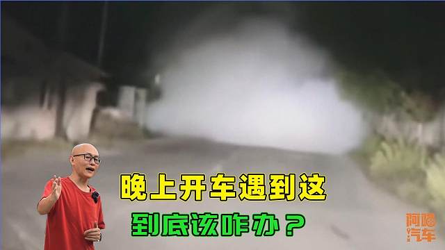 开车遇到团雾咋办？过来人教你几招，关键时刻能救命，新手学学