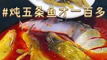 生生有五条鱼，还都是活鱼现炖，这铁锅炖也太划算了啊喂！#初秋正当食  #北京人如何硬核贴秋膘  #跟