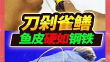 解刨鳄雀鳝尸体，从招财猫嘴中脱出未被消化，没想到竟然刀枪不入  #鳄雀鳝 #招财猫鱼 #亚马逊猛鱼