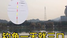 钓鱼半天没有动作、刚刚打开手机就黑漂、你们遇到过吗