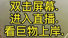 钓鱼人最爱的声音没有之