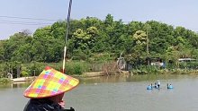 195号巨物牵牛线，这样拔河都拉回来了！宁爆杆、不放手