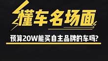 预算20W你会考虑买哪些自主品牌？#买车那点事儿 #懂车名场面  