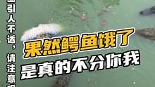 果然鳄鱼饿了是真的不分你我#鳄珍