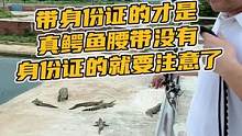 带身份证的才是真鳄鱼腰带没有的要注意了#鳄珍