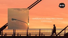 Buddhist Holiday「ดอกไม้ริมหน้าต่าง (Sleep With A F