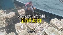 哨子一响黄金万两，跟随老海出海，看看海上都有什么新鲜鱼货？