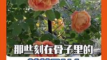 #哪里都能开出花来 #遇见懂你的花样生活 即使没有昂贵的花瓶，哪怕是沐浴露的空瓶也能养出一只漂亮的花