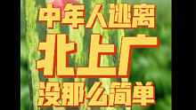 中年人想逃离北上广没那么简单