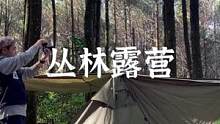 丛林露营#野营 #户外 #露营报告 
