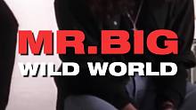 满满青春 摇滚传奇 Mr. Big 大先生乐队经典 Wild World - 90年代影像