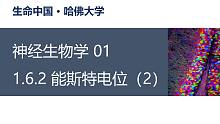 【神经生物学】1.6.2 能斯特电位（2）
