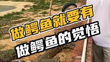 做鳄鱼就要有做鳄鱼的觉悟，不然下场很惨#鳄珍