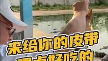 来给你的皮带喂点好吃的#鳄珍 
