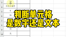 判断单元格是数字还是文本