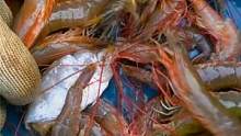 野生海虾好吃的关键在这里，不水煮，不油炸，不放油盐也能如此美味 #乡村守护人   #美好乡村一起守护