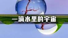 一滴水里也可以藏着宇宙！关于浮游生物的你不知道的那些事#科学实验#知识科普#宇宙探索 
