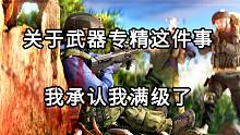 关于武器专精这件事  我承认我满级了