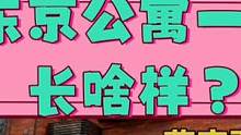 东京公寓一楼长啥样？小户型两室和国内相比又有什么区别呢？ #好房推荐 #不限购 #带你看房