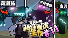 我的世界龙之冒险EP11