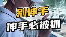 别伸手伸手必被抓#鳄珍 