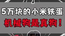 5万块弄的小米铁蛋，这个也太狗了吧？！#开箱 #开箱测评 #小米 #科技  