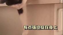 是有强迫症的小喵咪一枚吖～ #萌宠 #猫 #可爱 #强迫症 #猫咪的迷惑行为