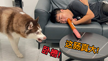 主人叼着香肠装睡，狗子会来偷吃吗？