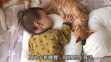 人类幼崽和捡到的橘猫，一起睡着睡着长大了