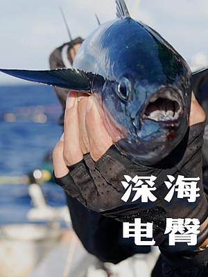 来尝尝 深海电臀   #海钓 #100种海鱼  